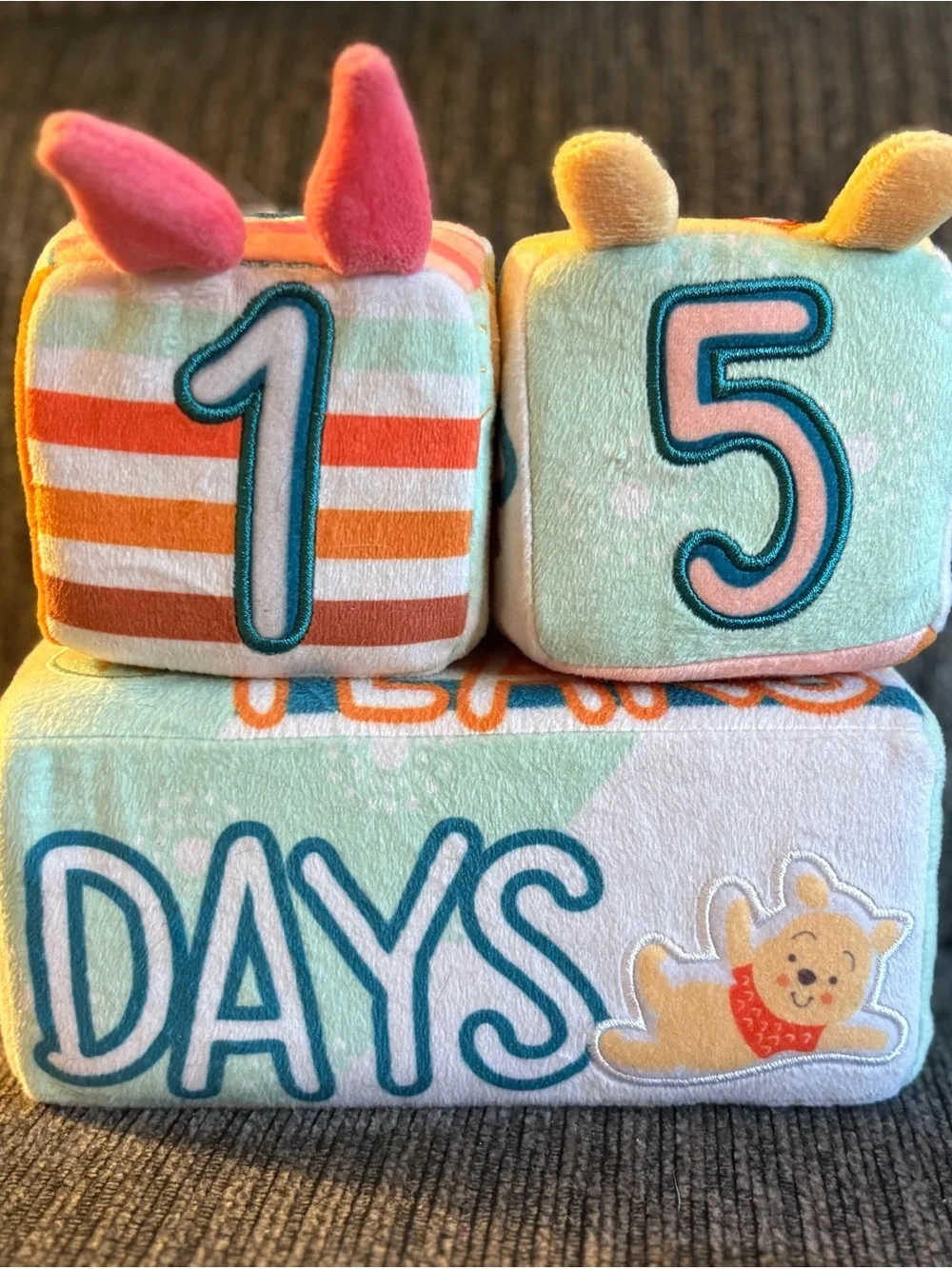 Winnie the Pooh Milestone Blocks (soft)